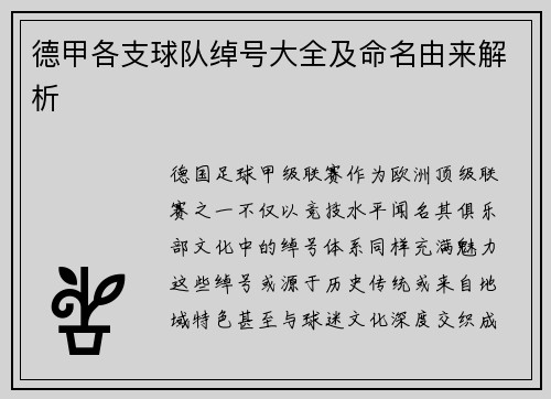 德甲各支球队绰号大全及命名由来解析